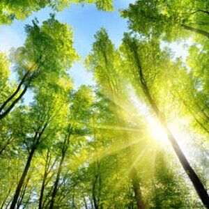 Meet your Posher, Theresa